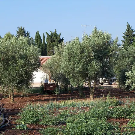 Agriturismo Il Pavone-2